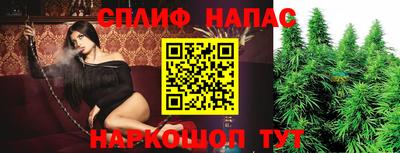 прущие грибы Гагарин