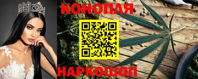 прущие грибы Гагарин