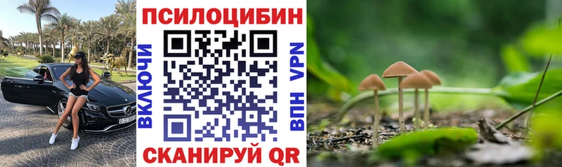 Галлюциногенные грибы Psilocybine cubensis Октябрьский