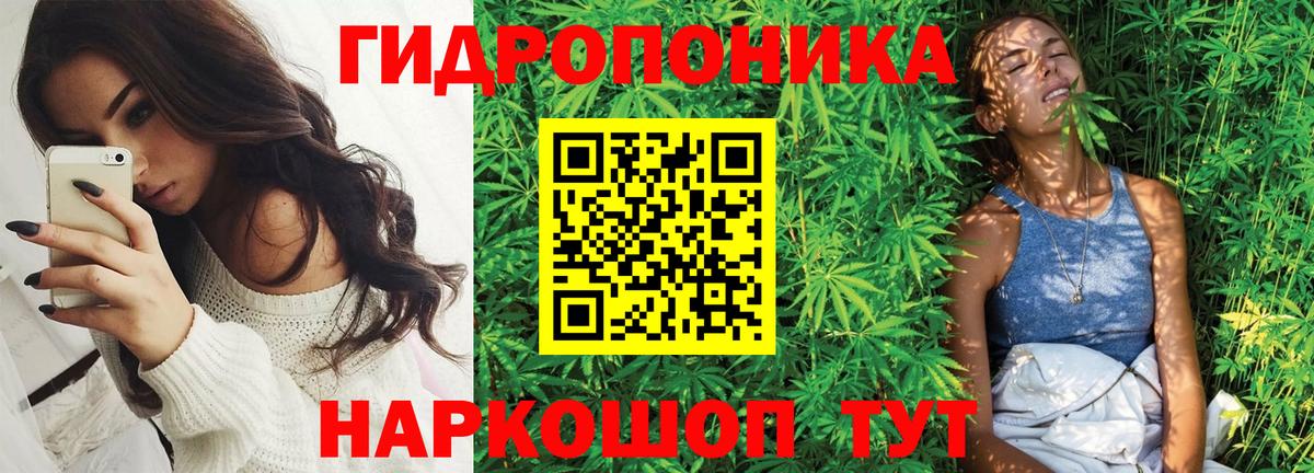 Конопля VHQ  Бошки марихуана Bruce Banner  Марихуана AK-47  Вход с VPN  Октябрьский 